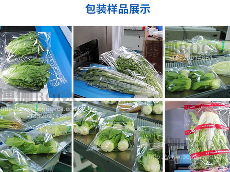 蔬菜包裝機樣品案例